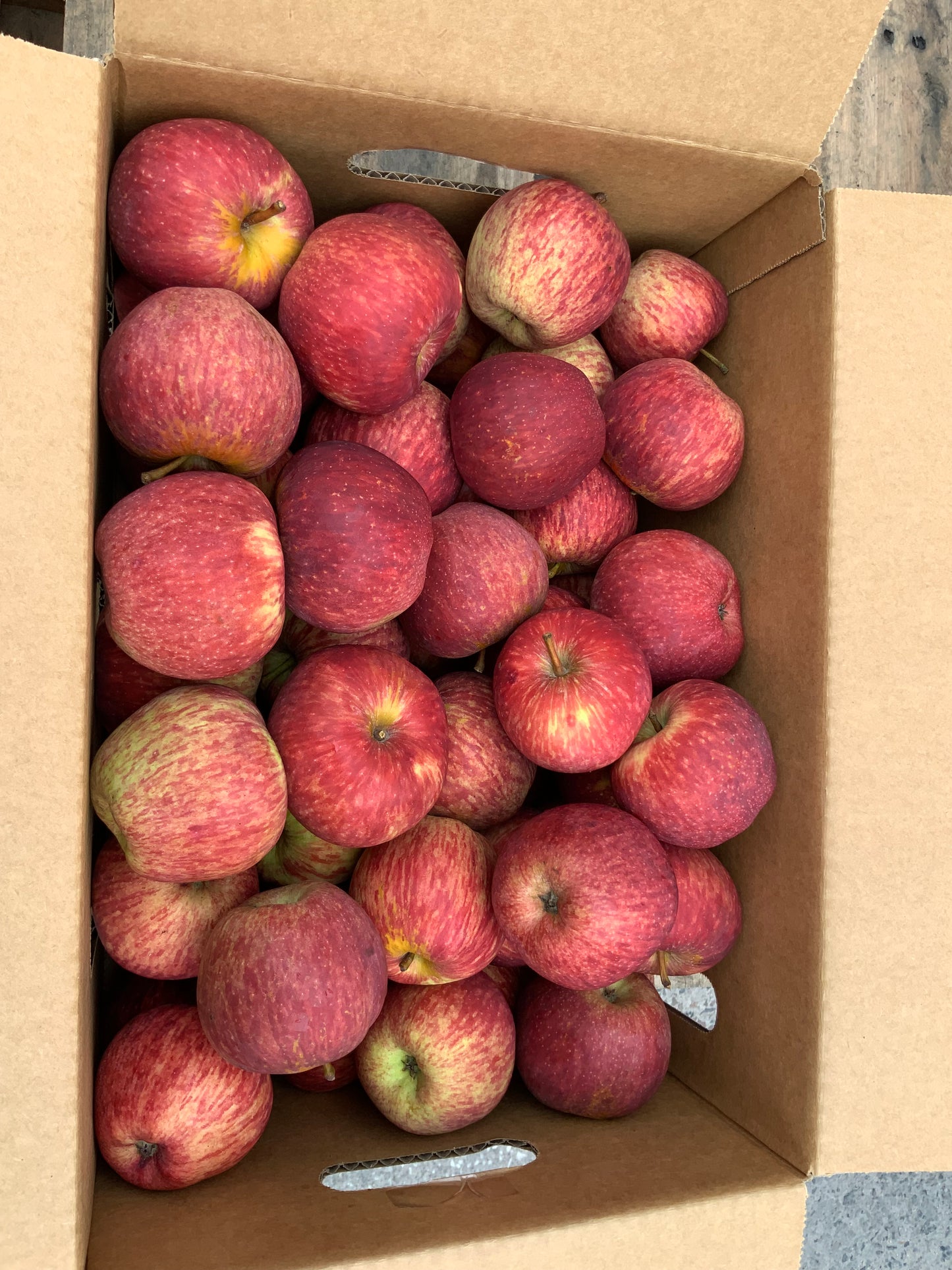 NUTRITION FARMS HAPPY APPLES - SEASONAL AVAILABLE LATE FEBRUARY