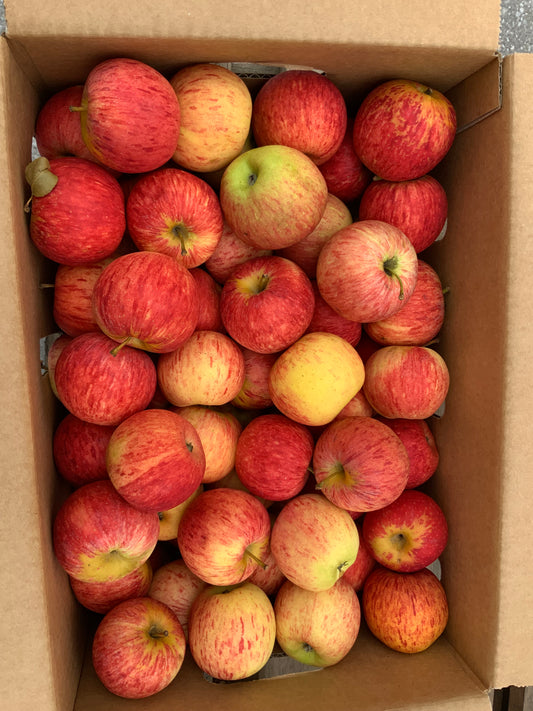 NUTRITION FARMS HAPPY APPLES - SEASONAL AVAILABLE LATE FEBRUARY