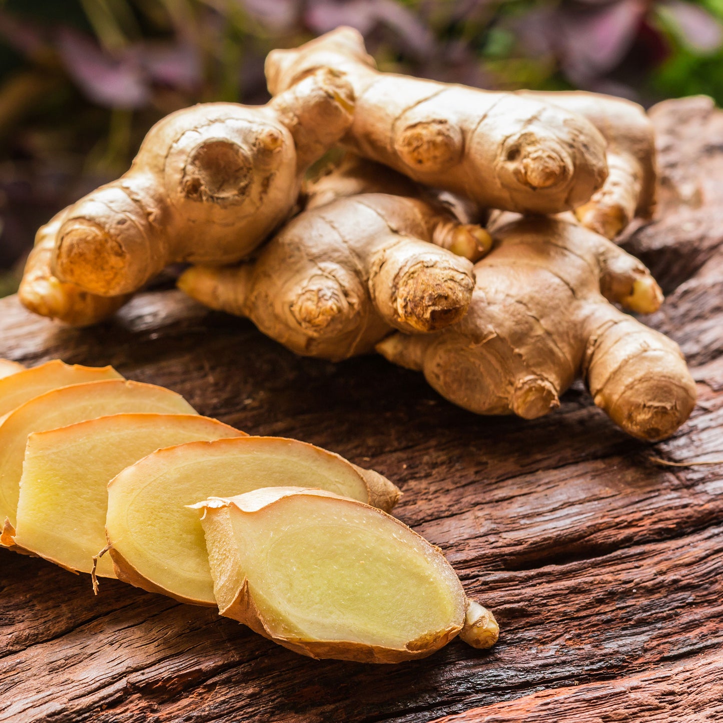ORGANIC GINGER - SEASONAL AVAILABLE LATE AUTUMN